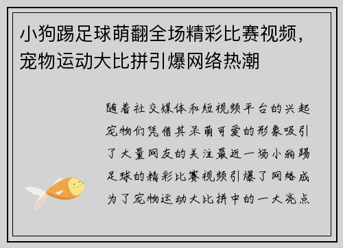 小狗踢足球萌翻全场精彩比赛视频，宠物运动大比拼引爆网络热潮