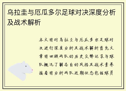 乌拉圭与厄瓜多尔足球对决深度分析及战术解析