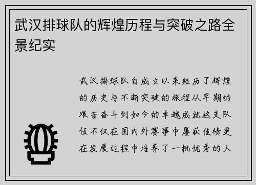 武汉排球队的辉煌历程与突破之路全景纪实